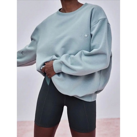 FOR LOVE AND LEMONS | Sage Green Embroidered Oversized Alex Sweatshirt | Size L - Picture 1 of 9